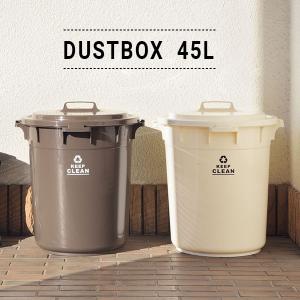 ゴミ箱 ダストボックス 45L ふた付き ロック...の商品画像