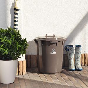 ゴミ箱 ダストボックス 45L ふた付き ロッ...の詳細画像1