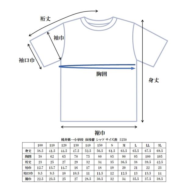 高南小学校 体操着シャツ L 校章マークシート入り