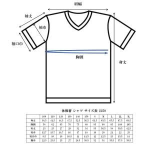 桃井第一小学校 体操着シャツ S 校章マークシート入りの商品画像