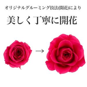 ブーケ付 おむつケーキ プリザーブドフラワー ...の詳細画像4