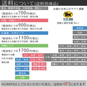 リース ユーカリのシンプルリース mini ミ...の詳細画像2