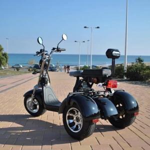 電動 トライク バイク 2000w 【BLAC...の詳細画像1