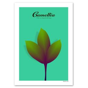 アート ポスター A3サイズ 『Camellia ブルー』 椿 花,植物 Interior Art Poster インテリア｜blankwall