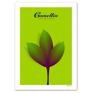 アート ポスター A3サイズ 『Camellia グリーン』 椿 花,植物 Interior Art Poster インテリア｜blankwall