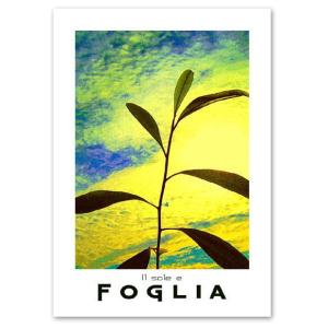 ポスター A3サイズ 『Foglia』 インテリア/フォト/花,植物ポスター/Interior Art Poster｜blankwall