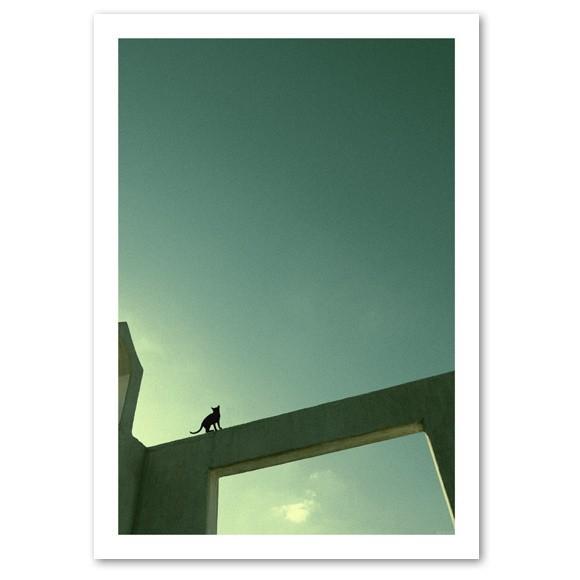 シルエットキャット 『Passage』 ポスター A2サイズ ネコ ねこ 猫 フォト 黒猫 インテリ...