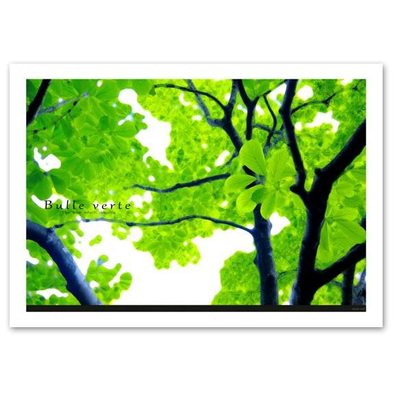 インテリアアートポスター A2サイズ 『Bulle verte』 フォト 花,植物 Interior...