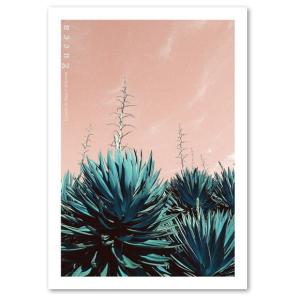 ポスター A2サイズ 『Yucca』 フォト 花,植物 ポスター Interior Art Poster インテリア｜blankwall