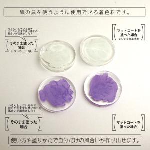 水彩パレット 10色セット ヴェール パステル...の詳細画像3