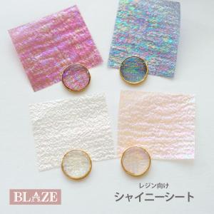 5枚入り 封入パーツ シャイニー シート BLAZE ネイル用品 レジン ジェルネイル ネイル デコパーツ 商用利用可能 ネイルパーツ ハンドメイド 手芸 素材 材料｜blaze-japan