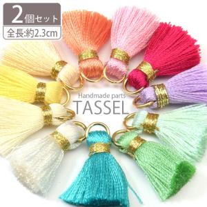 BLAZE タッセル パーツ 約4.5cm 2個セット シック カン付き フリンジ