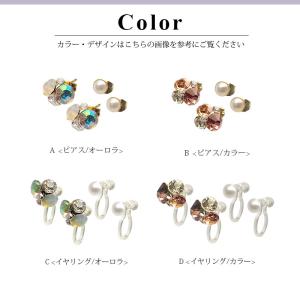 ピアス & イヤリング 2デザインセット ビジ...の詳細画像2