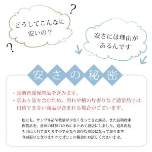 ロングゴム バラエティ パック 10本セット ...の詳細画像3