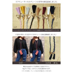 ica017【代引不可】【メール便送料無料】ス...の詳細画像1