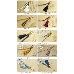 ica017【代引不可】【メール便送料無料】ス...の詳細画像3