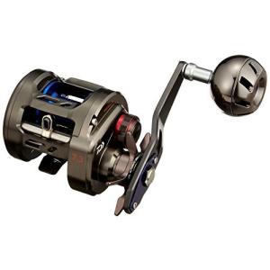 ダイワ(DAIWA) ベイトリール 17 ソルティガBJ 200SHL (2017モデル)