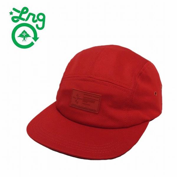 20%OFF LRG エルアールジー キャップ 帽子 スナップバック LIFTED PATCH 5 ...