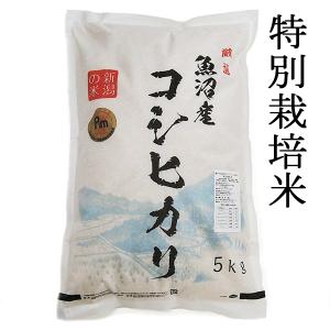 魚沼産コシヒカリ 令和5年  令和5年 新米 特別栽培米 低農薬 5kg 5キロ うるち米（精白米） 新潟 魚沼 お歳暮 御歳暮 10分づき 白米｜blessyou