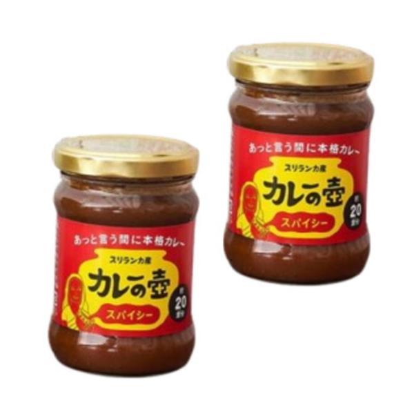 【送料無料】第3世界ショップ　カレーの壺・スパイシー　200g（20皿分）X2個セット　送料込み