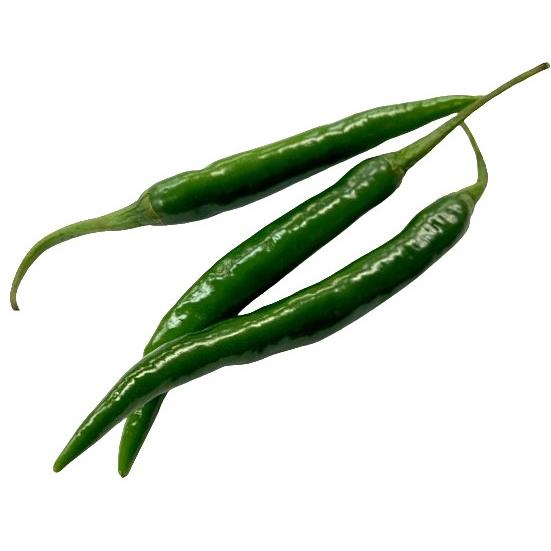 【朝市場直行】千葉県ほか　青唐辛子（あおとうがらし）束　約30g　x6個セット【冷蔵】