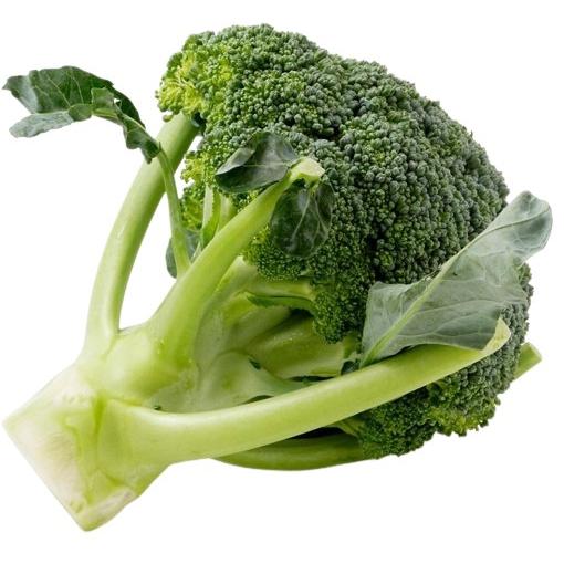 【朝市場直行】埼玉県ほか　国産　ブロッコリー　1個　約250g【冷蔵】