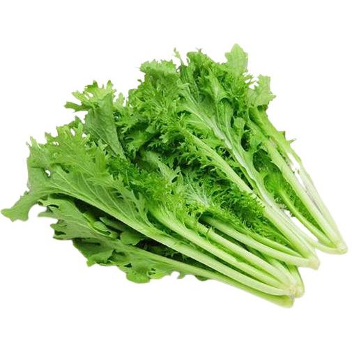 【朝市場直行】栃木県ほか　わさび菜　束　約80g【冷蔵】