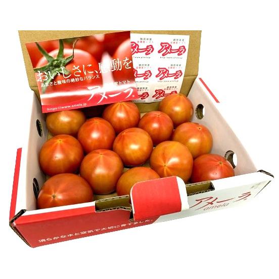 【朝市場直行】業務用・送料無料　愛知県ほか　アメーラトマト　9〜13個入り（1ケース）【冷蔵】　送料...
