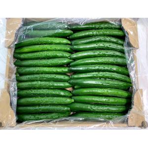 千葉県産他 さつまいも 紅はるか Sサイズ 3〜4本入 約500g （小袋