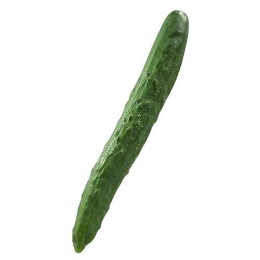 【朝市場直行】千葉県ほか　きゅうり　M　1本　約100g　x4個セット【冷蔵】