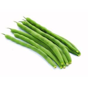 【朝市場直行】沖縄県ほか　インゲン　Mサイズ　1kg【冷蔵】