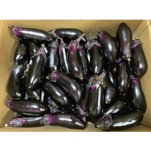 【朝市場直行】業務用・送料無料　高知県ほか　なす　バラ　5kg入り（ケース）【冷蔵】　送料込み