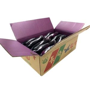 なす 朝市場直行】福岡県ほか 長なす 1本 約90g【冷蔵】 : ビーライフ