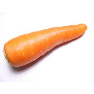 【朝市場直行】中国産 人参 1本 約200g【冷蔵】の商品画像