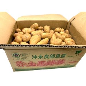朝市場直行】長崎県ほか じゃがいも メークイン 2Lサイズ 1個 約170g