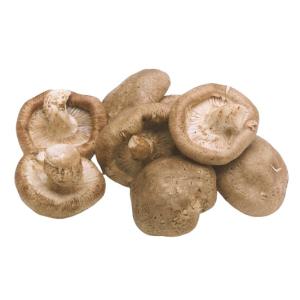 生椎茸　約100g　(8枚入袋）