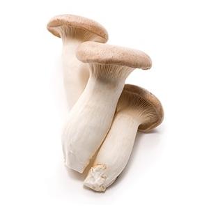 【朝市場直行】新潟県ほか　エリンギ　PC　約100g　x6個セット【冷蔵】