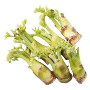 送料無料【朝市場直行】山形県ほか　たらの芽（袋）約50g　x2個セット【冷蔵】　送料込み　山菜