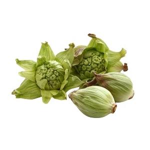 【朝市場直行】福島県ほか　ふきのとう　PC　約100g　x6個セット【冷蔵】山菜