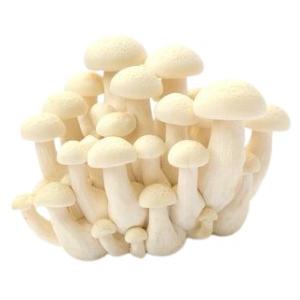 送料無料【朝市場直行】長野県ほか　ブナピー(白)（袋） 100g　x2個セット【冷蔵】　送料込み