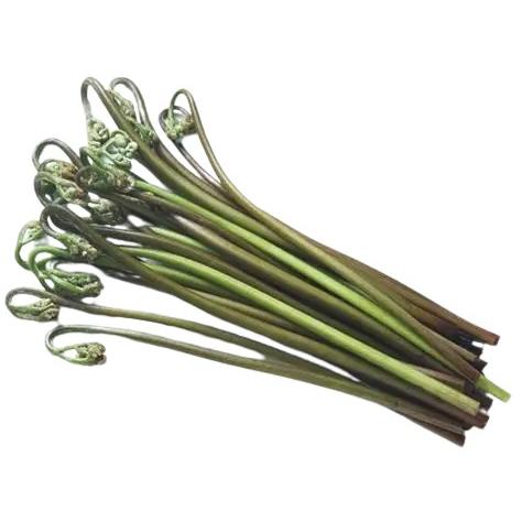 【朝市場直行】秋田県ほか　わらび　PC　約100g【冷蔵】山菜