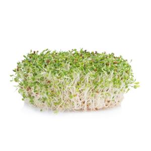 【朝市場直行】岐阜県ほか　アルファルファ　PC　約80g　x4個セット【冷蔵】