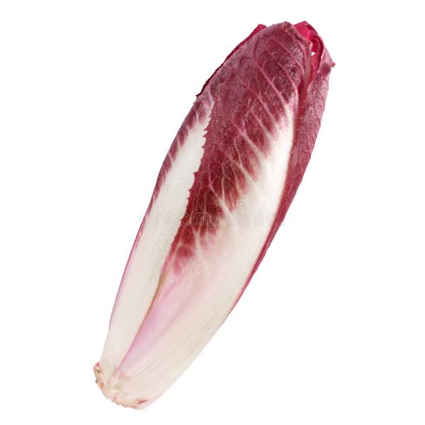 送料無料【朝市場直行】ベルギーほか　アンディーブチコリ（赤）1個　約80g　x2個セット【冷蔵】　送...