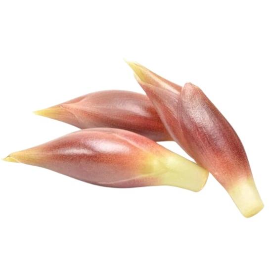 【朝市場直行】高知県ほか　茗荷（みょうが）PC　約50g　x6個セット【冷蔵】