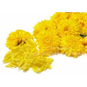 食用菊　（袋）（約80g)