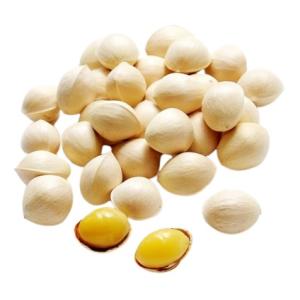 送料無料【朝市場直行】新潟県ほか　殻付き銀杏（ぎんなん）L〜２Lサイズ　約500g　x2個セット【冷...