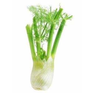 【朝市場直行】長野県ほか　フェンネル(葉ナシ)　株　約250g【冷蔵】