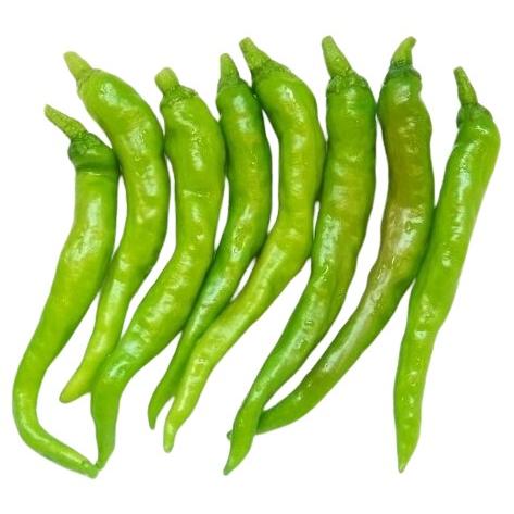 送料無料【朝市場直行】高知県ほか　甘長しし唐辛子（あまながししとうがらし）約100g　x2個セット【...