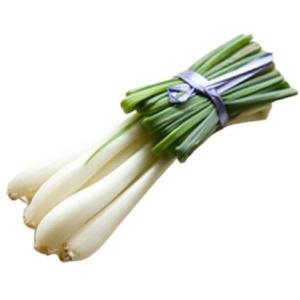 あす楽】エシャロット フランス野菜 香味野菜 ＜フランス産＞【500g