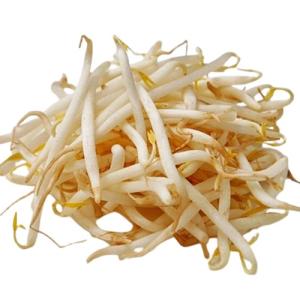 もやし 朝市場直行】栃木県ほか もやし小（袋）250g【冷蔵】 : ビー